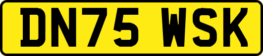 DN75WSK
