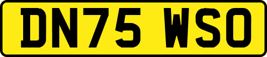 DN75WSO