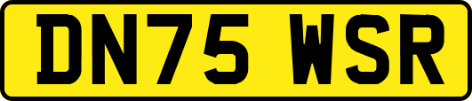 DN75WSR