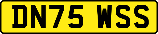 DN75WSS