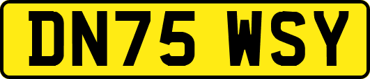 DN75WSY