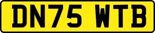 DN75WTB