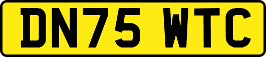 DN75WTC