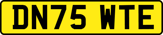 DN75WTE
