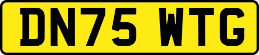 DN75WTG