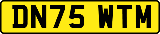 DN75WTM
