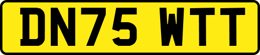 DN75WTT