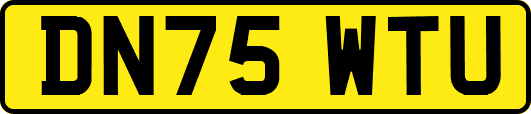 DN75WTU