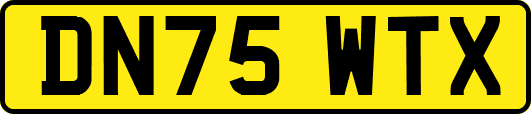 DN75WTX