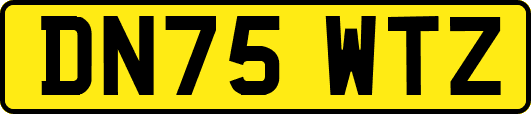 DN75WTZ