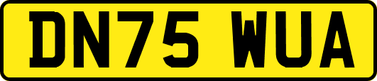 DN75WUA