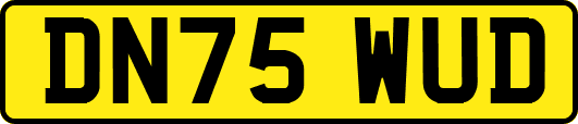 DN75WUD