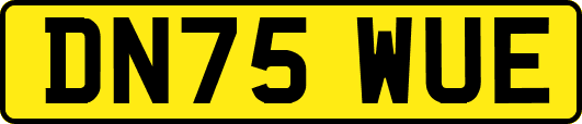 DN75WUE