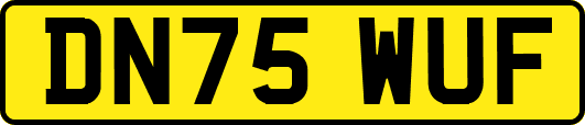 DN75WUF