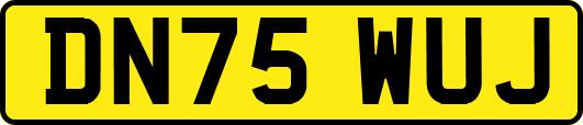 DN75WUJ
