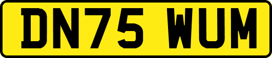 DN75WUM