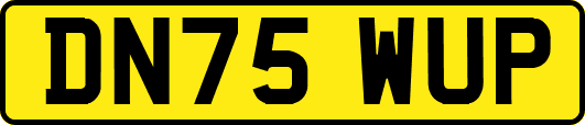 DN75WUP