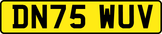 DN75WUV