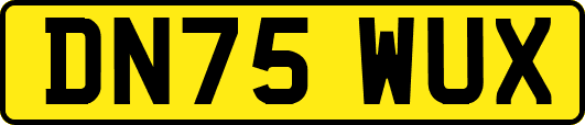 DN75WUX