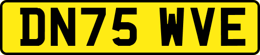 DN75WVE