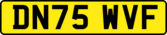 DN75WVF