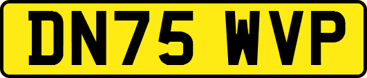 DN75WVP