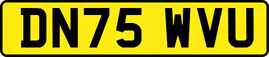 DN75WVU