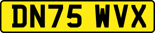 DN75WVX