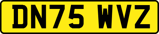 DN75WVZ