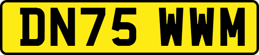 DN75WWM