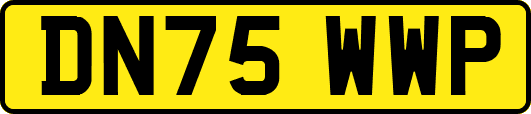 DN75WWP