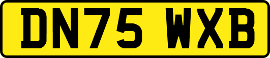 DN75WXB