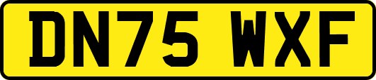 DN75WXF