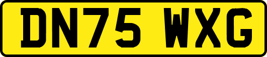 DN75WXG