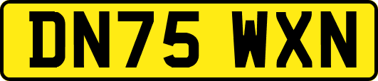 DN75WXN