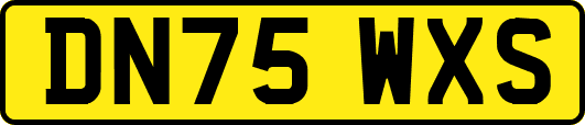 DN75WXS