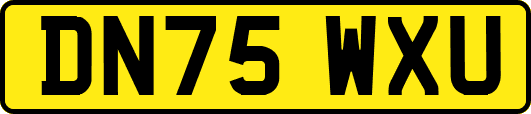 DN75WXU