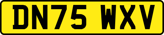DN75WXV