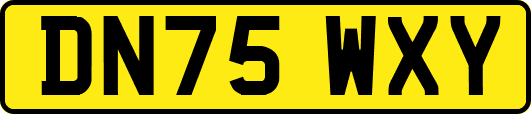 DN75WXY