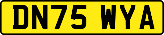 DN75WYA