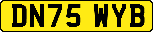 DN75WYB