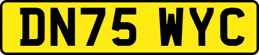 DN75WYC