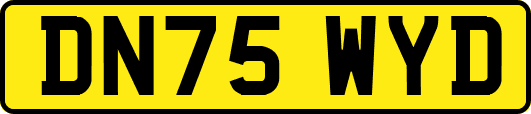 DN75WYD