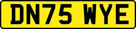 DN75WYE