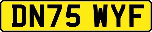 DN75WYF