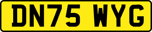 DN75WYG
