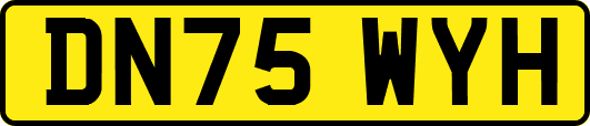DN75WYH