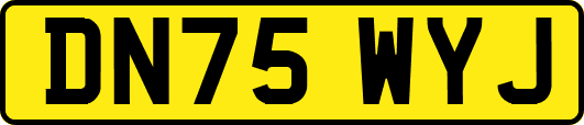 DN75WYJ