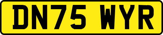 DN75WYR