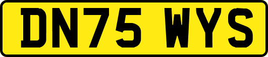 DN75WYS